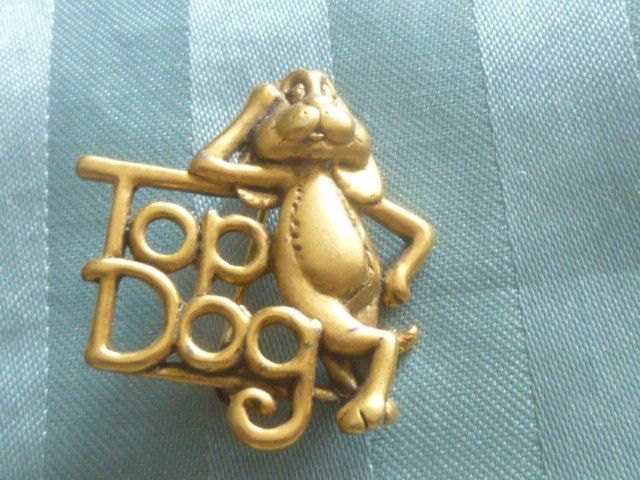 Spille & Fermagli: Brosche Top Dog sign. Davencraft – Usato da Hinwil venduto da Glasperlen 5