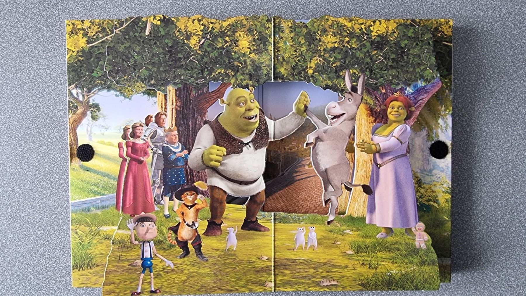 Tutti i DVDs: DVD Shrek 2 - Pop-Up Edition – Usato da Oetwil am See venduto da fineli2 2