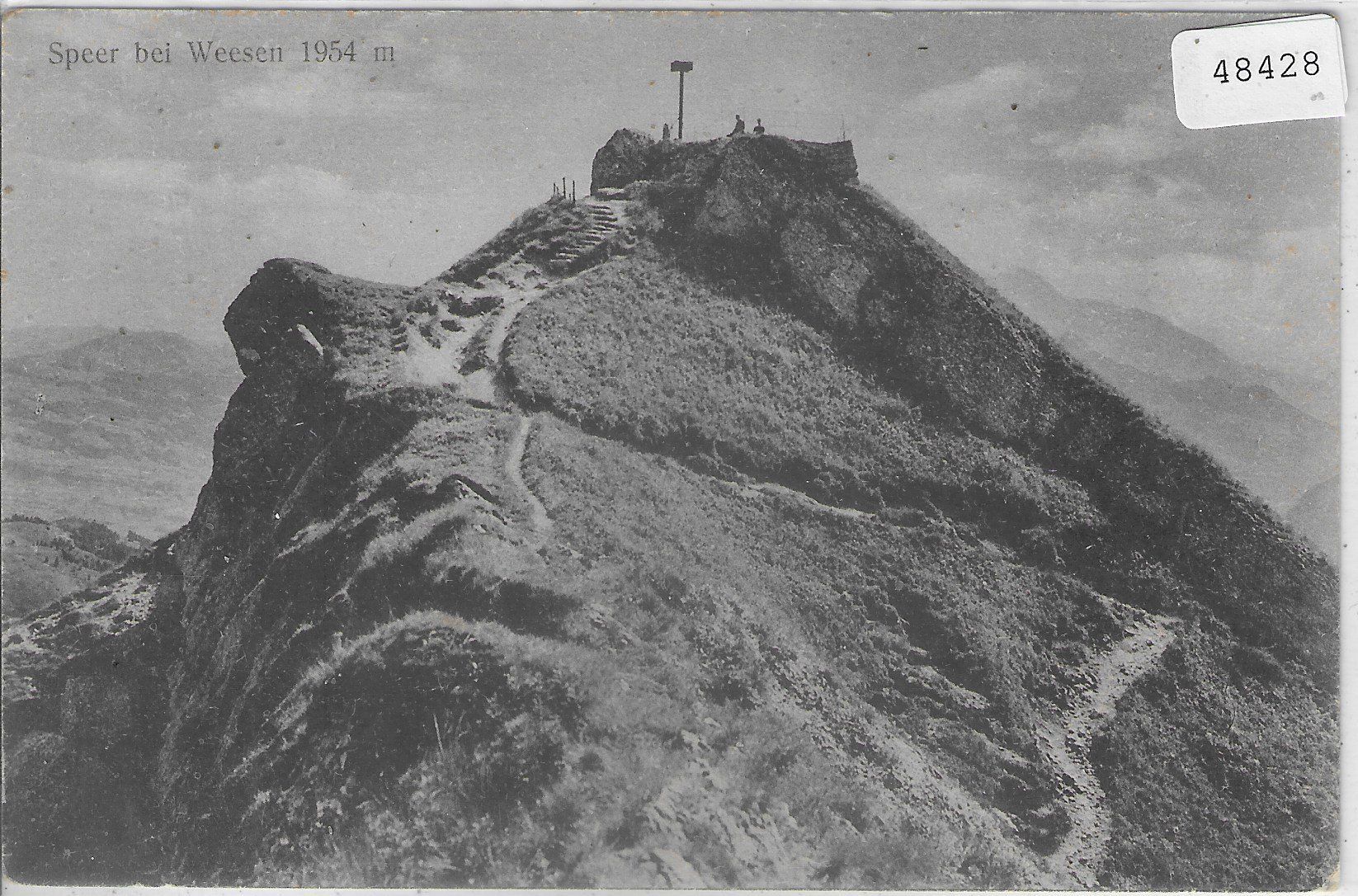 Cartes postales: Speer bei Weesen - animee – D'occasion à Ettingen par Kartenplanet