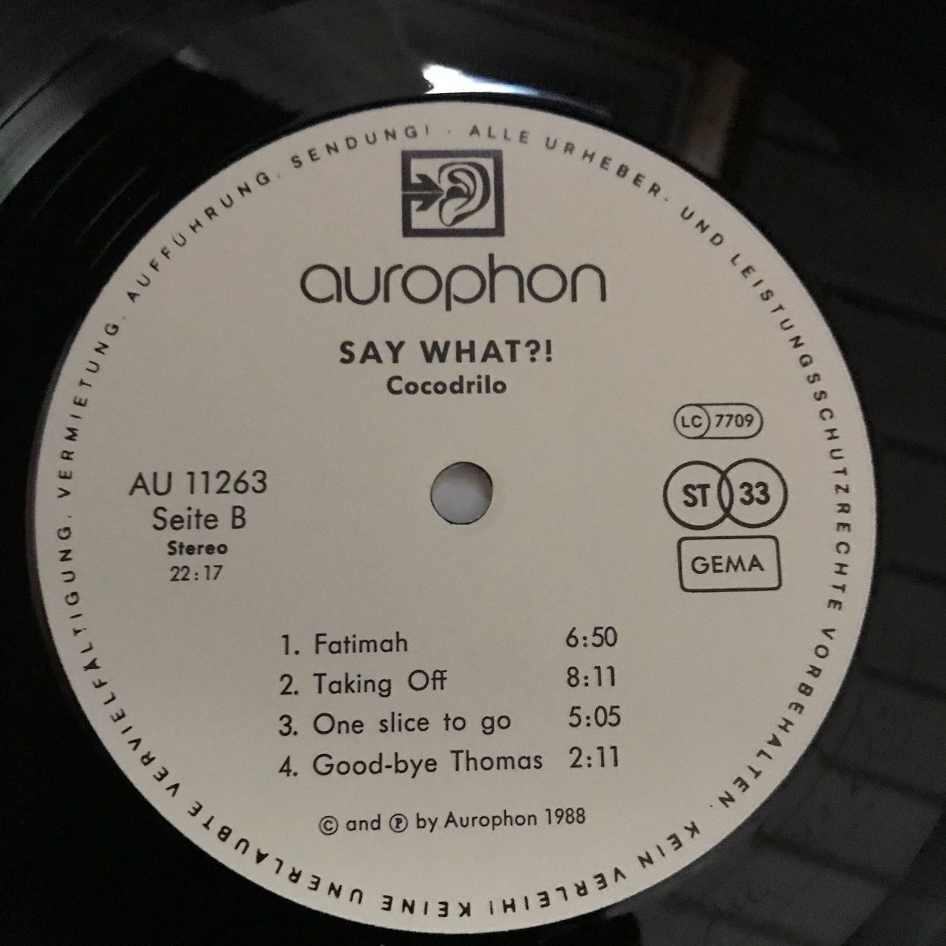 Dischi in vinile: Cocodrilo - Say What!? – Usato da Aesch BL venduto da BlueMusicRecords 3