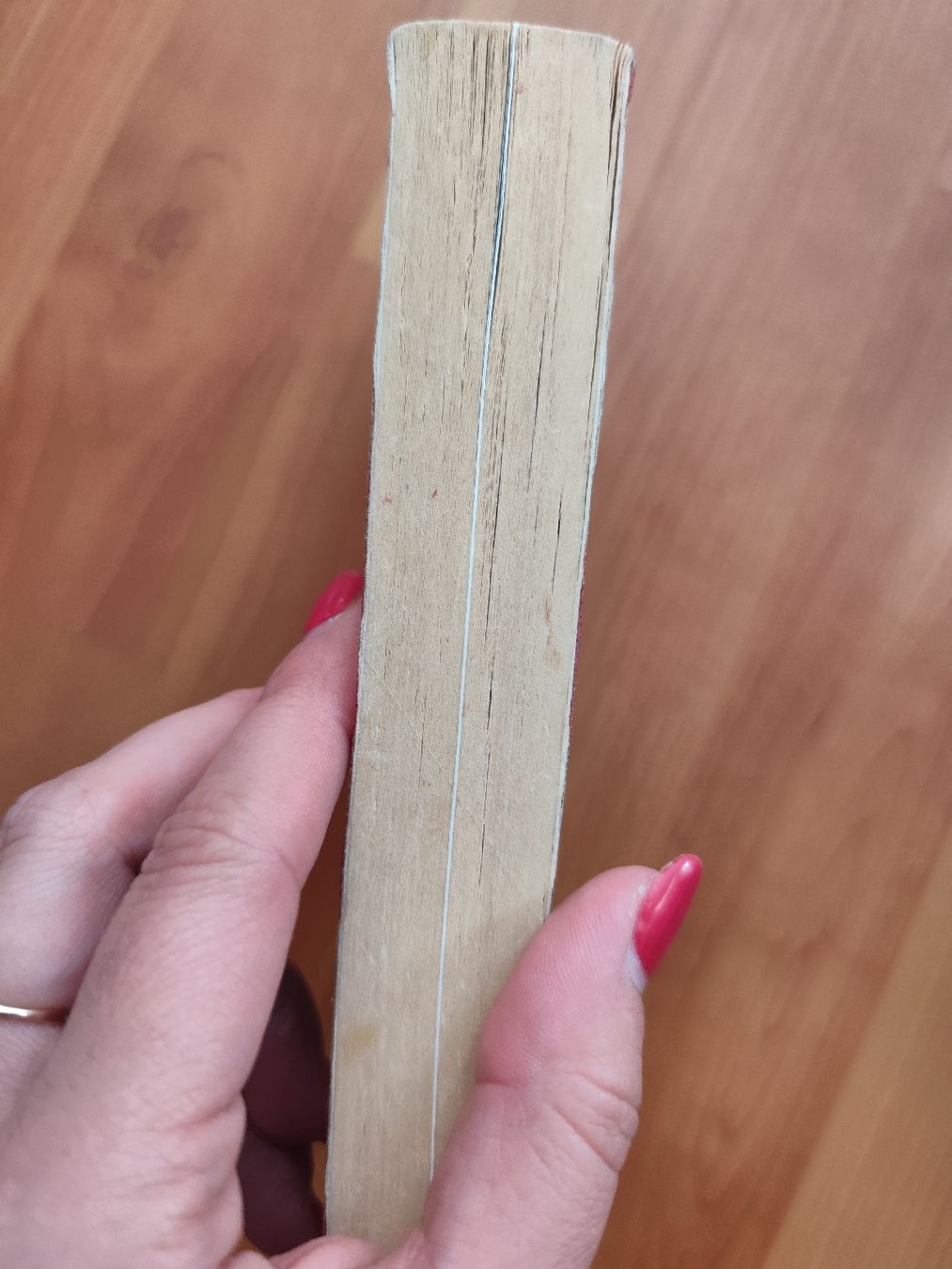 Libri: Anne Frank's Diary - The Definitive Edition – Usato da Mägenwil venduto da VintageGirly 2