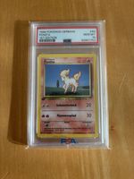 Pokemon Ponita 1999 1st Edition PSA 10 GEM MINT
