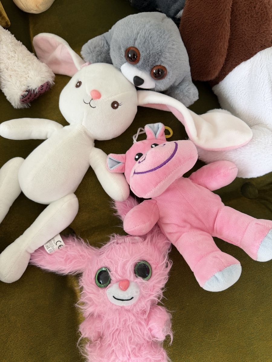 Spielzeuge: Kinderpaket: Plüschtiere/ Stofftiere/ 13 St – Gebraucht aus Zumikon von DamenFashionShop 1