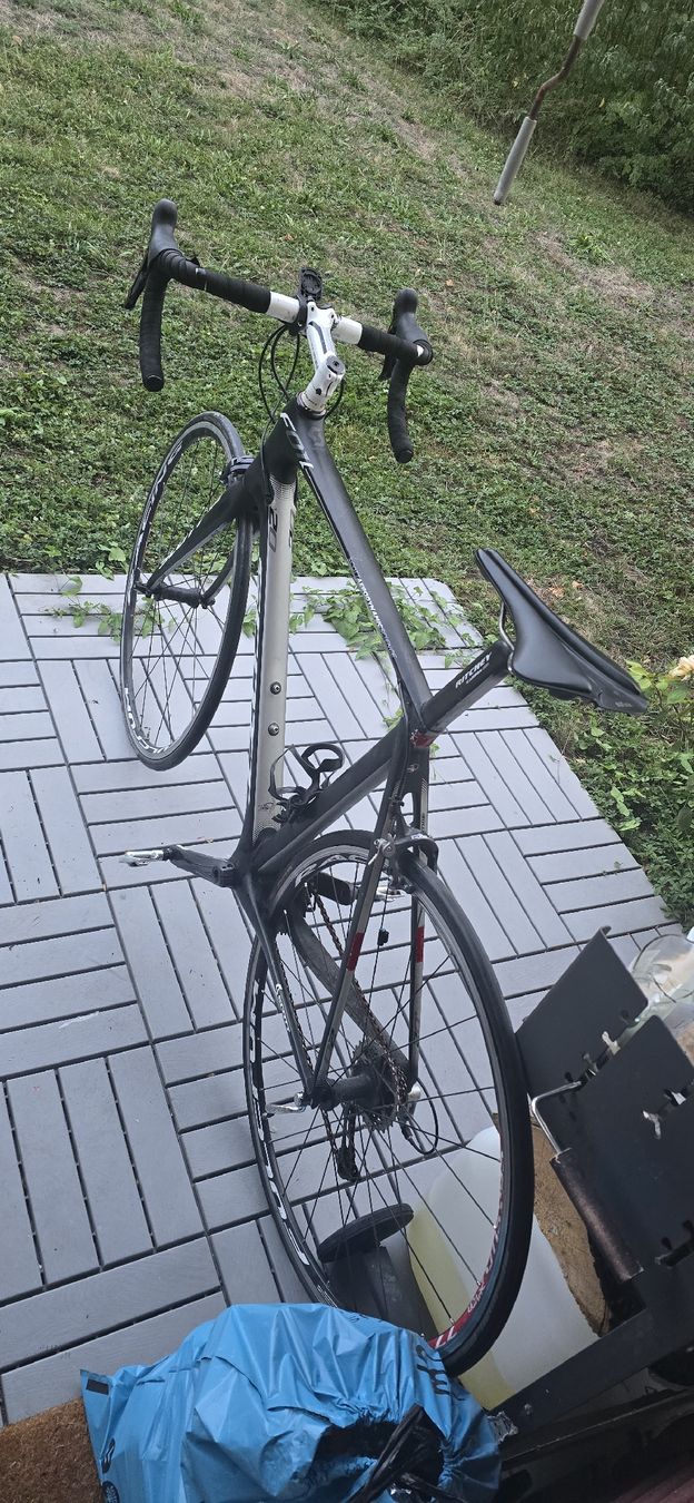 Scott Biciclette: Scott velo carbon  – Usato da Weiningen ZH venduto da ped_fbx2 7