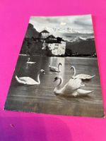 Schloss Chillon, Genfersee, Hotel Belmont Montreux. alte Ak