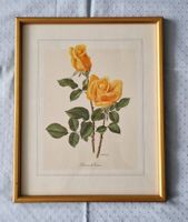 1/3 Stich gerahmt: 2 Rosen „Charme de Vienne“ A.M. Trechslin