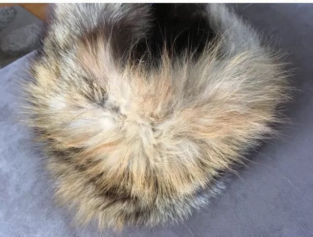 Bonnet En Fourrure De Renard Gris - Taille 55 - Occasion