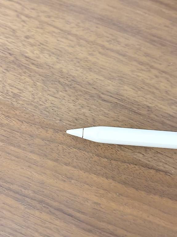 Apple Penna & Evidenziatori: Apple iPad Pencil – Usato da Zürich venduto da h4llo 1