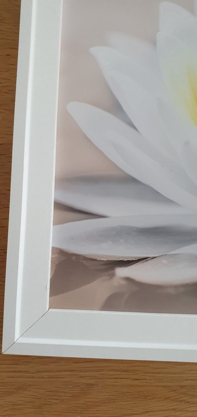 Leinwände & Keilrahmen: Petit tableau fleurs – Gebraucht aus Moutier von mai_pq7w 1