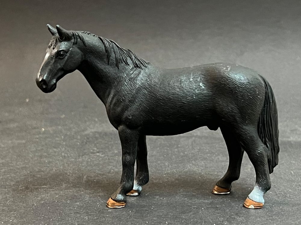 Schleich Pferd - 72096 Hannoveraner Hengst exclusiv | Kaufen auf Ricardo