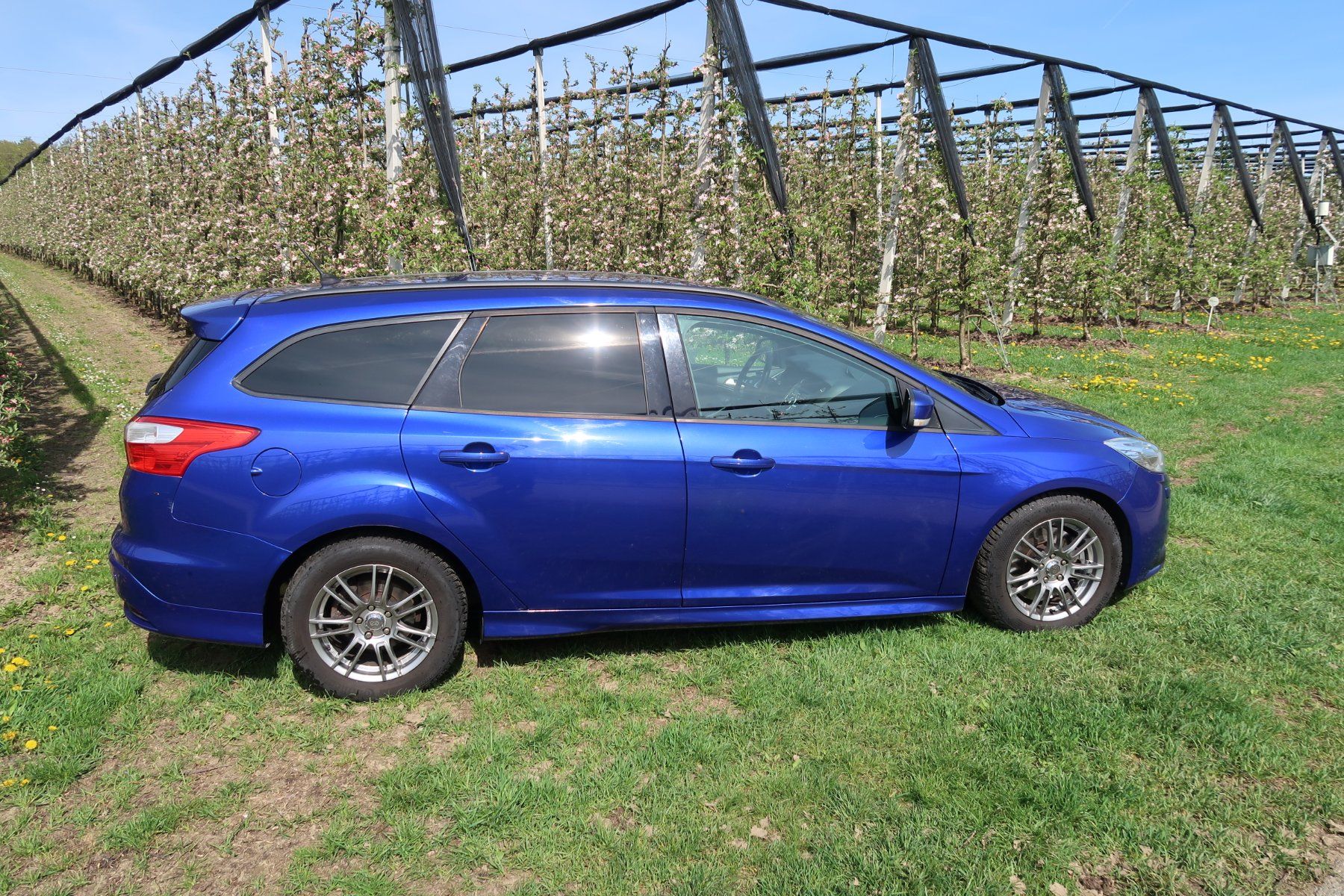 Ford Automobili: Ford Focus ST  Sation Wagon 2.0i EcoB SCTi – Usato da Büsingen venduto da garagealtmann 1
