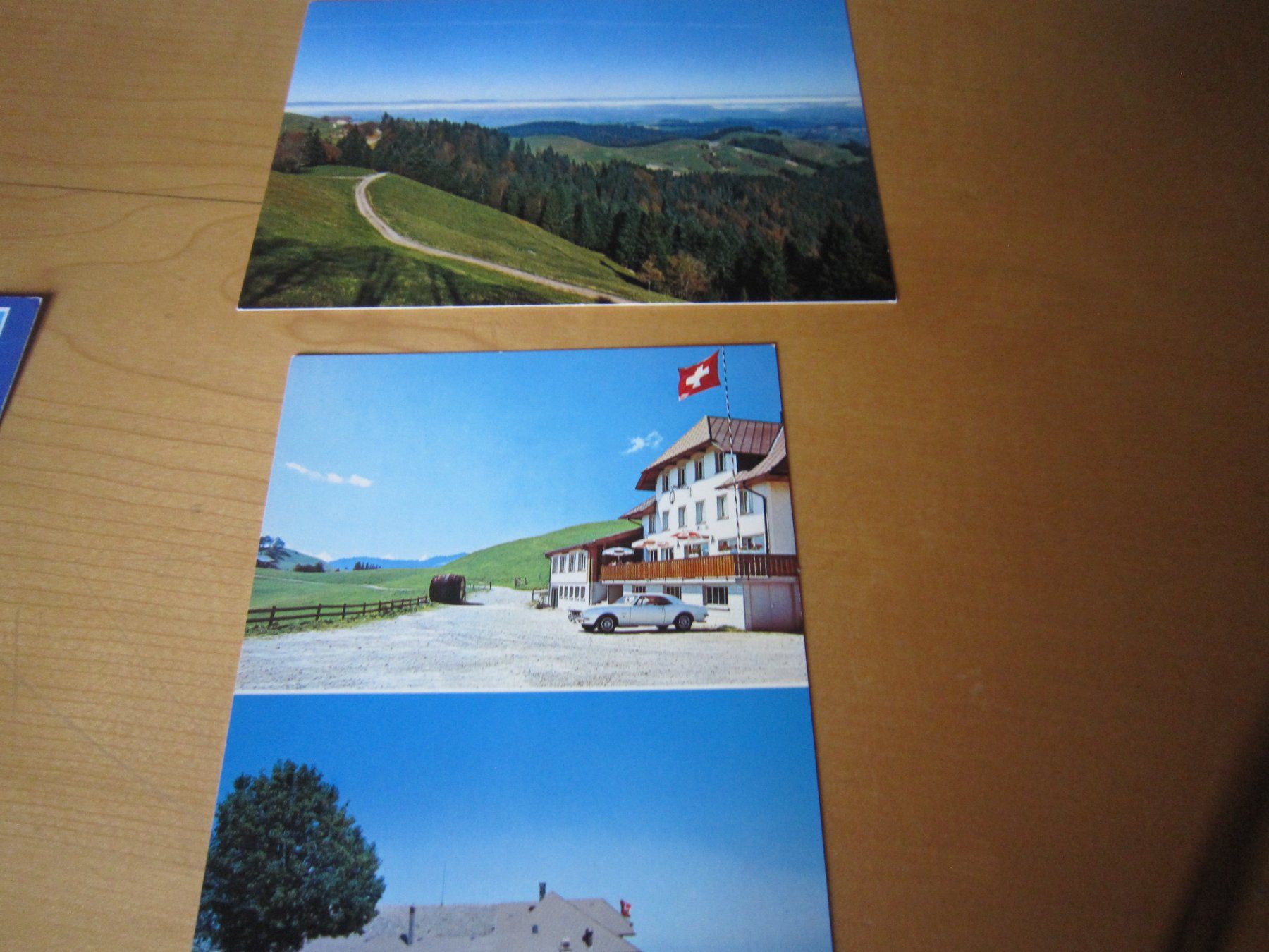 Cartoline postali: Schöne Postkarte AHORN ALP AB NUR 75 RP – Usato da Gordola venduto da Polentaefung