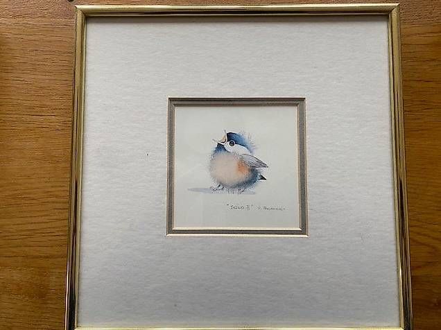 Poster & Bilder: Val Pfeiffer gerahmte Bilder mit Singvogel – Gebraucht aus Adlikon von Fordgalaxie 2