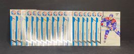 Komplettes ZSC Base-set National League Sammelkarten 2024/25