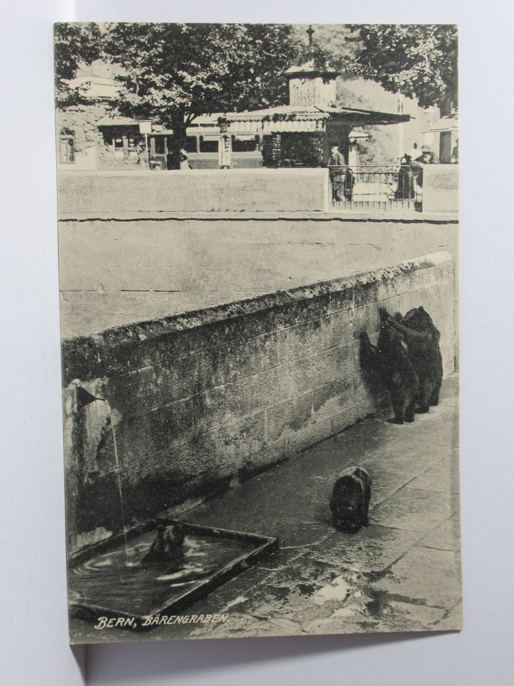 Cartes postales: Bern , Bärengraben – Neuf (Voir description) à Grenchen par Bluemchen1900