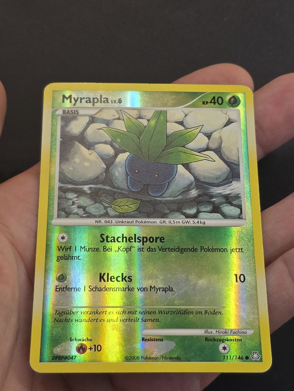 Pokémon Carte collezionabili: Myrapla 111 Pokémon Legends Awakened DE | Reverse Holo – Nuovo (secondo la descrizione) da Basel venduto da MartinM.91 2