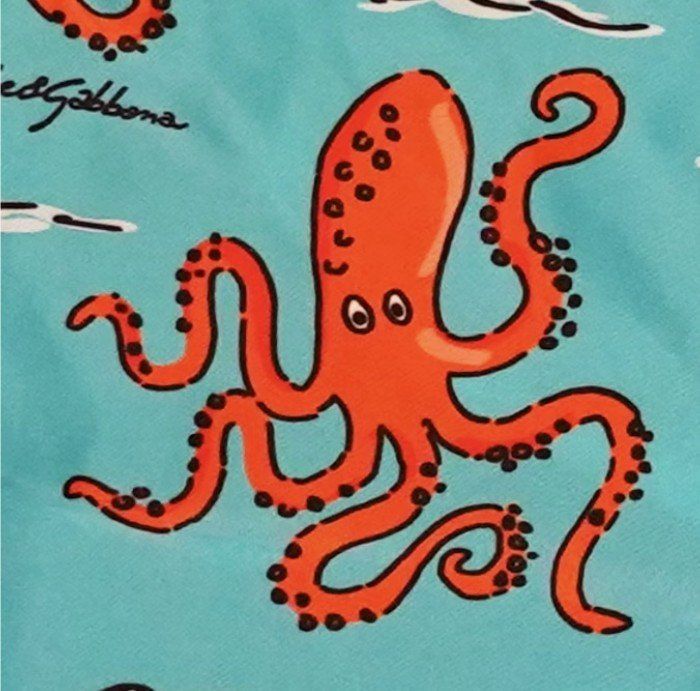 Costumi da bagno: Dolce & Gabbana - 18m / 86 cm. Worn once – Usato da Zürich venduto da ale_jt9y 1