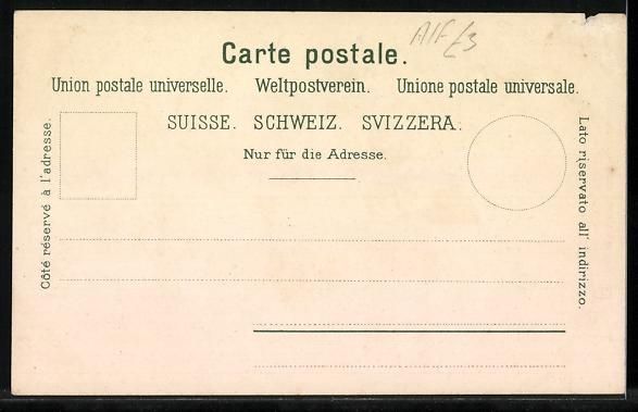 Ansichtskarten: Litho Karte der Schweiz mit den verschie – Gebraucht aus Berlin von bartko-reher 1