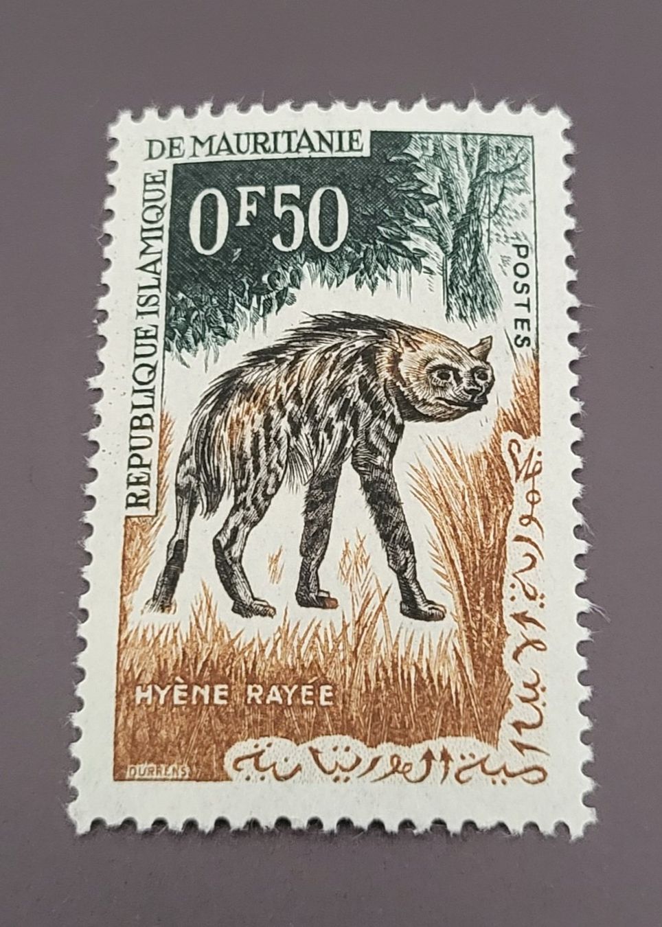 Alle Briefmarken: Mauretanien 1963 tiere briefmarke A020 – Gebraucht aus St Gallen von Stampsalshobby