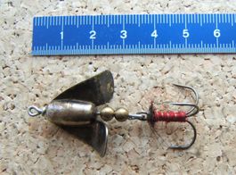 ALTER FLÜGELSPINNER