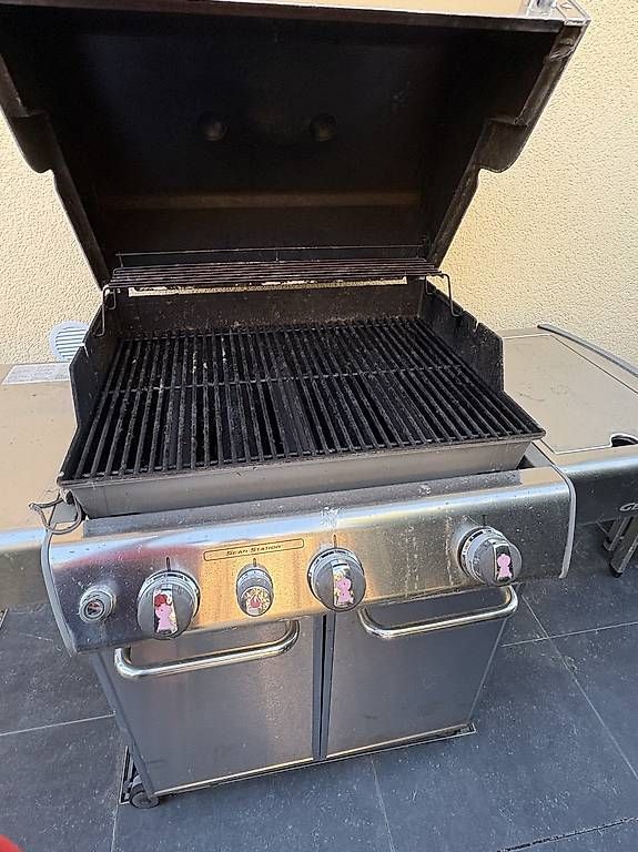 Weber Grils: Weber Genesis – D'occasion à St-Prex par kuz_5plq 2