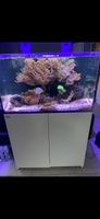 Aquarium Red Sea Reefer 250 G1