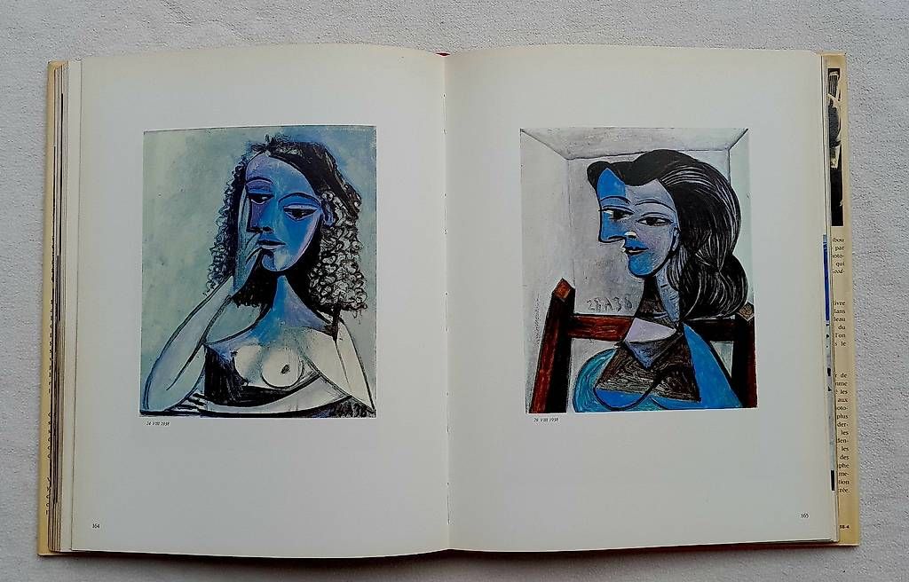Libri: Goodbye Picasso David Douglas Duncan – Usato da Samstagern venduto da Karibik64 3