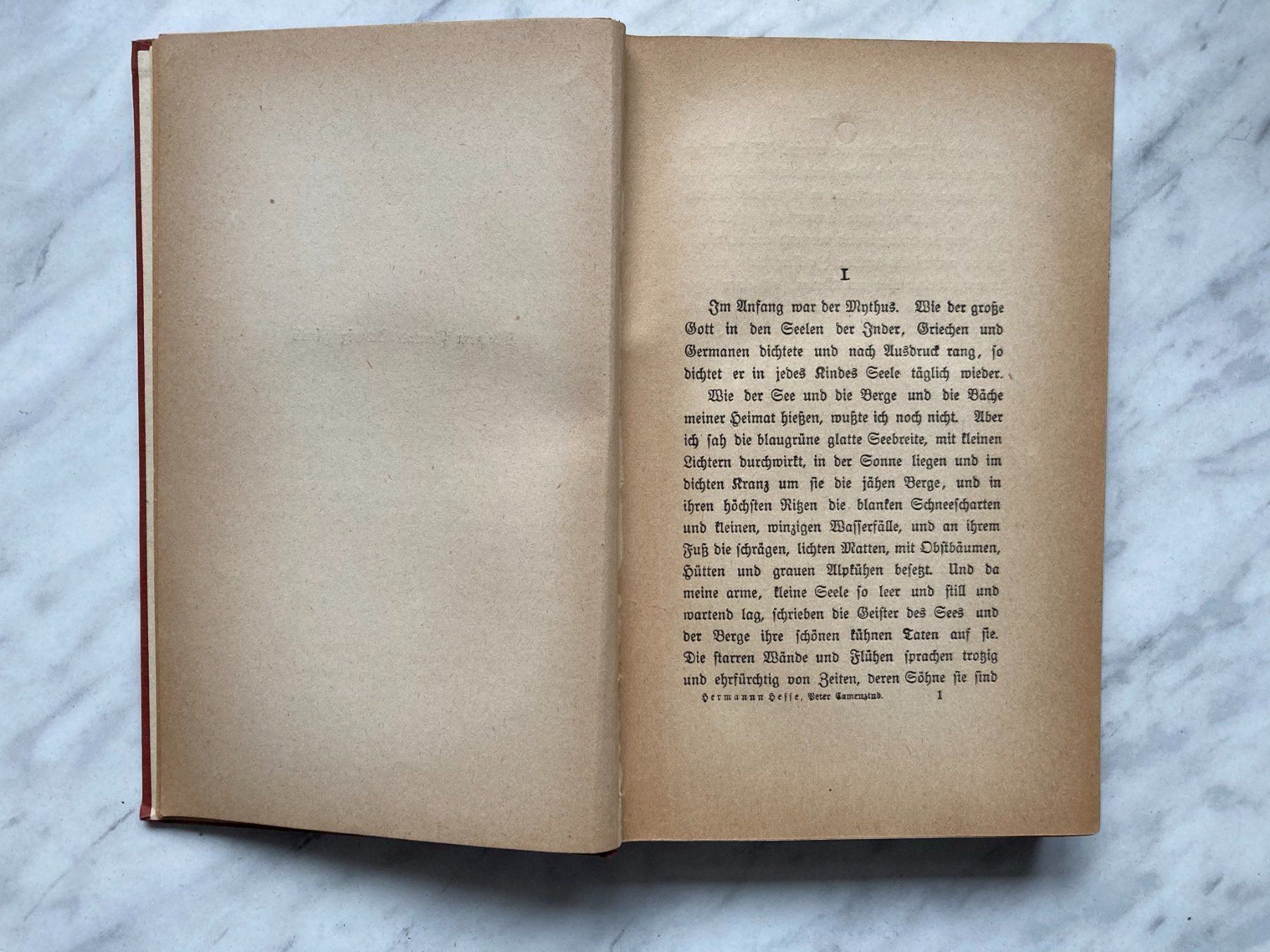 Libri: Peter Camenzind von Hermann Hesse – Usato da Mirchel venduto da buecher_wurm 4