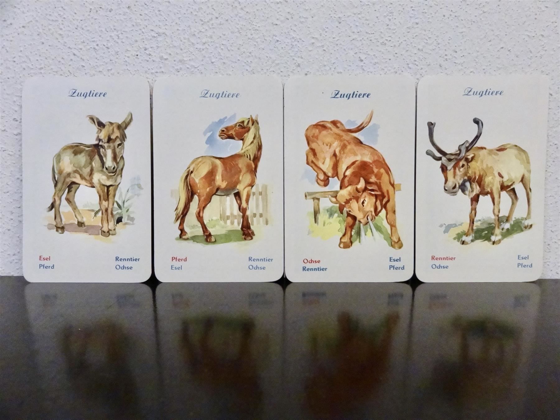 Giochi: schönes altes TIER Quartett – Usato da Kerzers venduto da wisaundso 5