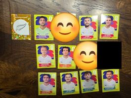 Panini 2026 WM USA NZL Neuseeland10Stk. (Preis pro Stück!!!)
