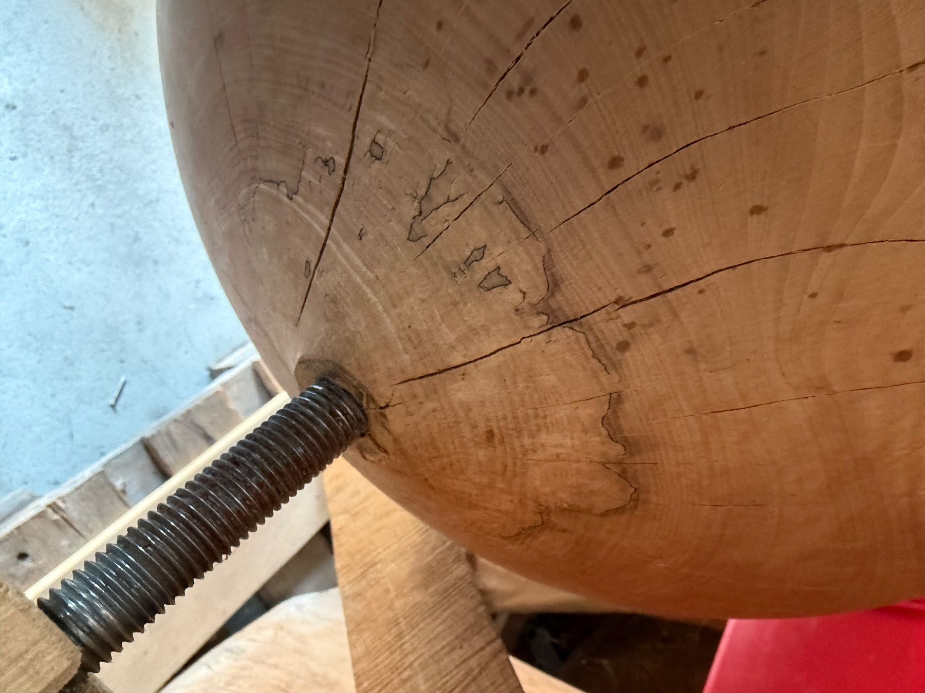 Articoli in legno: Holzkugel Esche; 50cm; roh, – Nuovo (secondo la descrizione) da Wildberg venduto da Melramos04 2