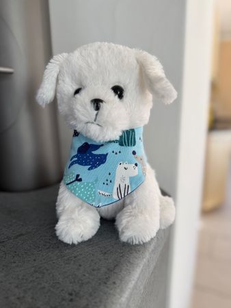 Halstuch Bandana für einen kleinen Hund - Doggies