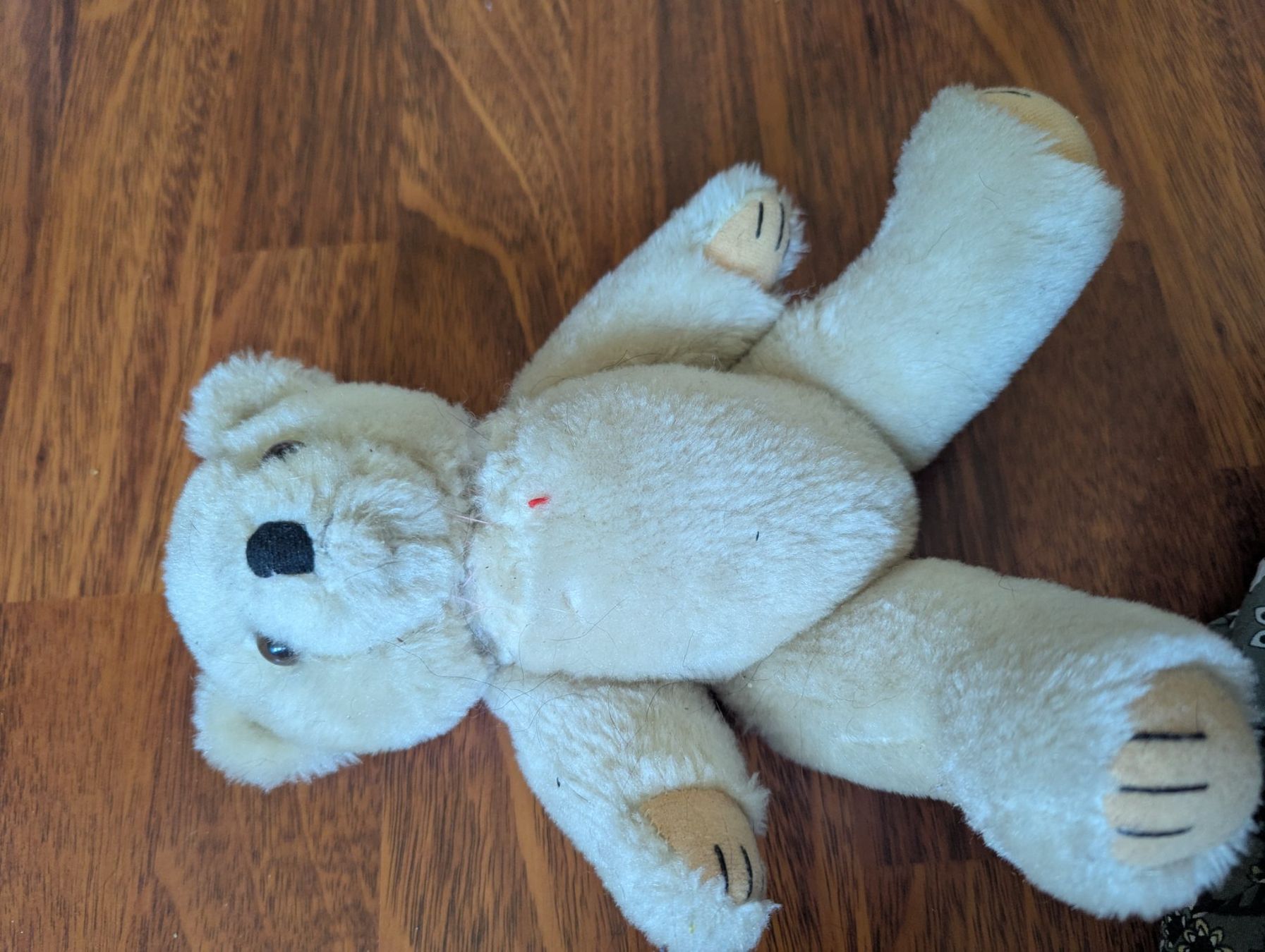 Giocattoli: Stofftier Teddy – Usato da Wangen ZH venduto da Nadja056