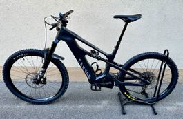 Canyon Strive:ON CFR Underdog Taille L