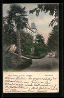 Locarno, Gartenpartie am Hotel Reber au 