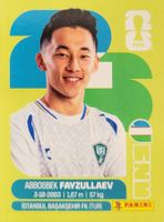 Panini FIFA World Cup UZB 20