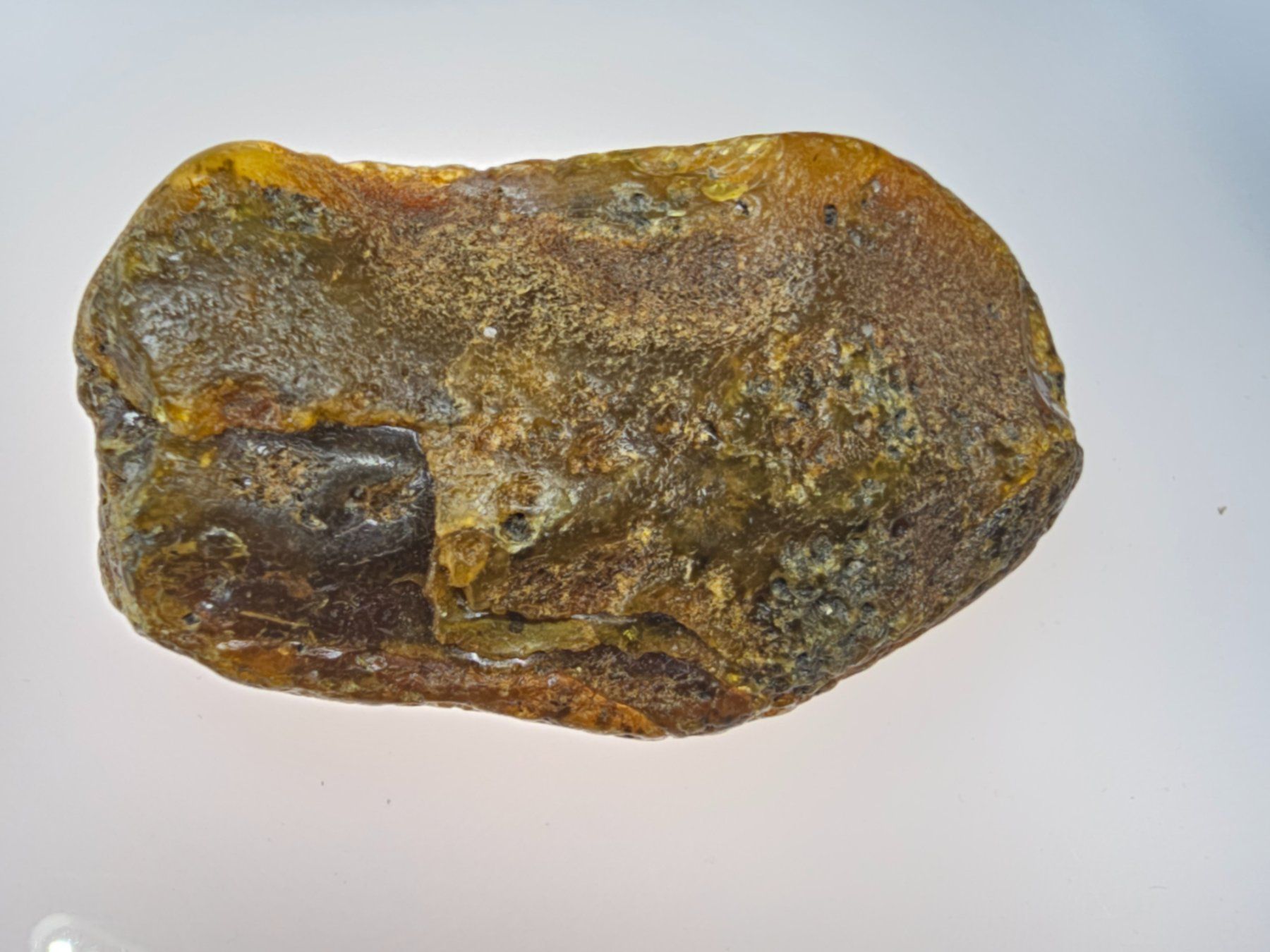 Minerali & Pietre curative: 14gr Rohbernstein echt Roh Bernstein baltisch selten raw – Nuovo (secondo la descrizione) da Riedt b. Erlen venduto da Gottestraene 2
