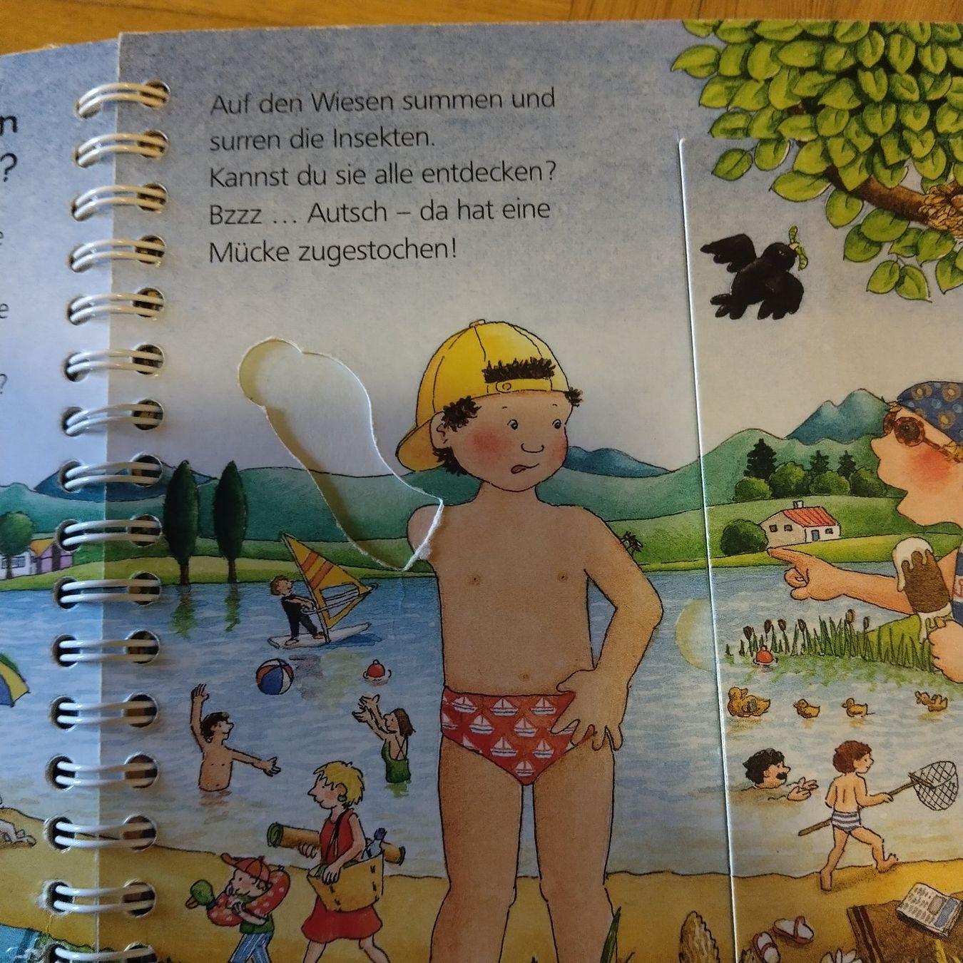 Bücher: Wieso Weshalb Warum Junior Bucher Set – Gebraucht aus Oberdorf NW von niederj 6