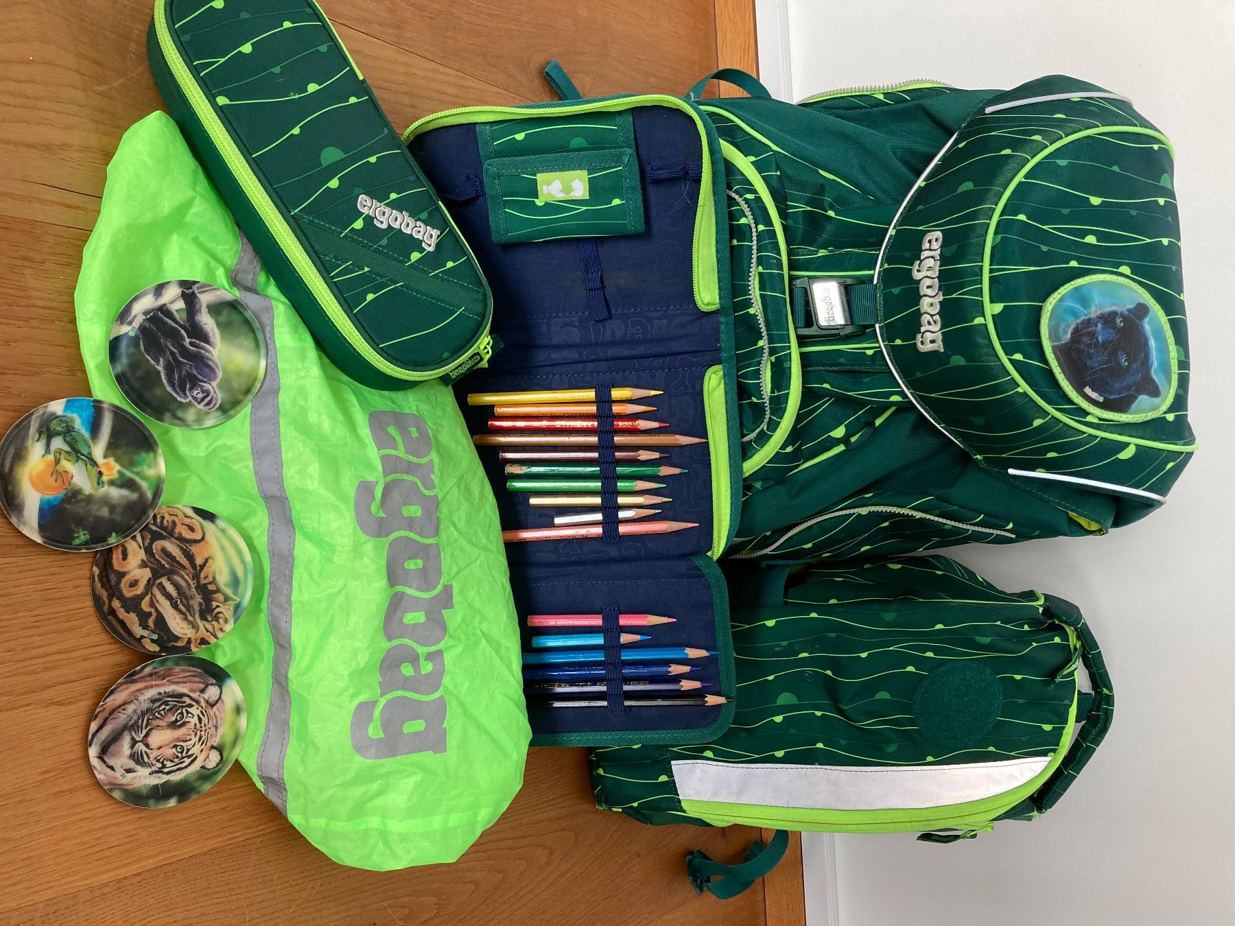 Ergobag Zaini: Gebrauchter Ergobag Schulrucksack – Usato da Flawil venduto da Mrrhu 5