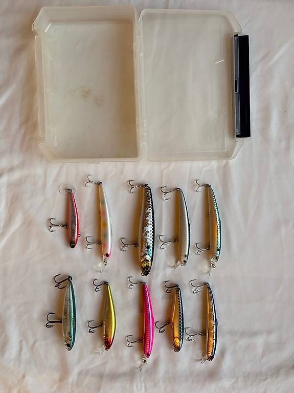 Esche: Profi-Wobbler-Set: 10 Hardbaits inkl. Köderbox – Usato da Herrliberg venduto da axelvb
