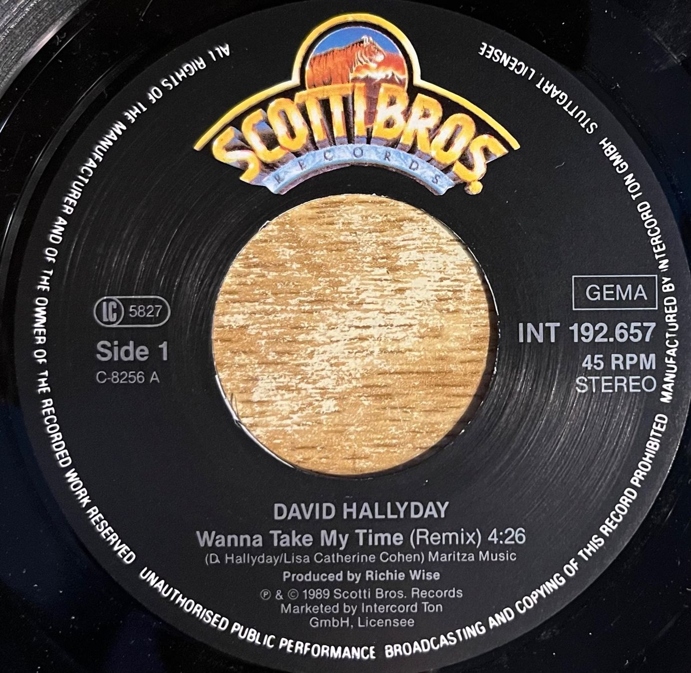 Dischi in vinile: DAVID HALLYDAY - WANNA TAKE MY TIME – Usato da Bussigny venduto da vinyl-pas-cher 2