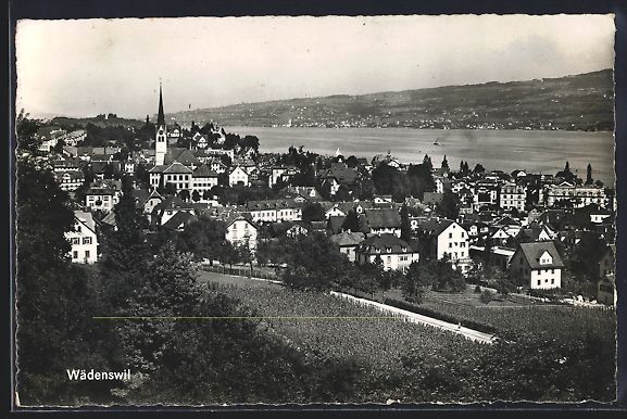 Cartoline postali: AK Wädenswil, Totalansicht mit Umgebung – Usato da Berlin venduto da bartko-reher