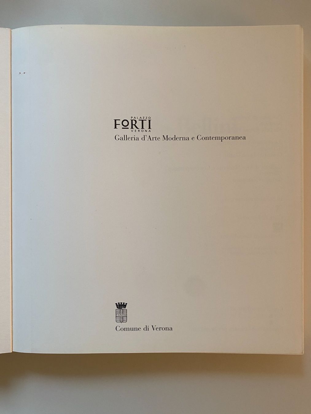 Libri: Buch Paolo Bellini – Usato da Gümligen venduto da Vicky2 1