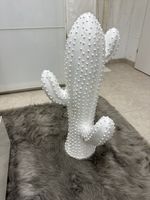 Kaktus