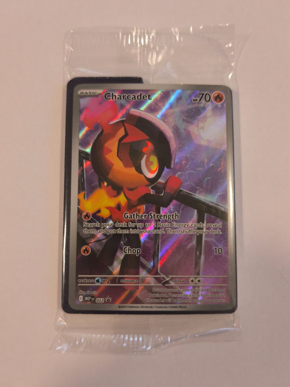 Pokémon Sammelbilder & Trading cards: Charcadet Promo Sealed – Neu und originalverpackt aus Frauenfeld von Odanos