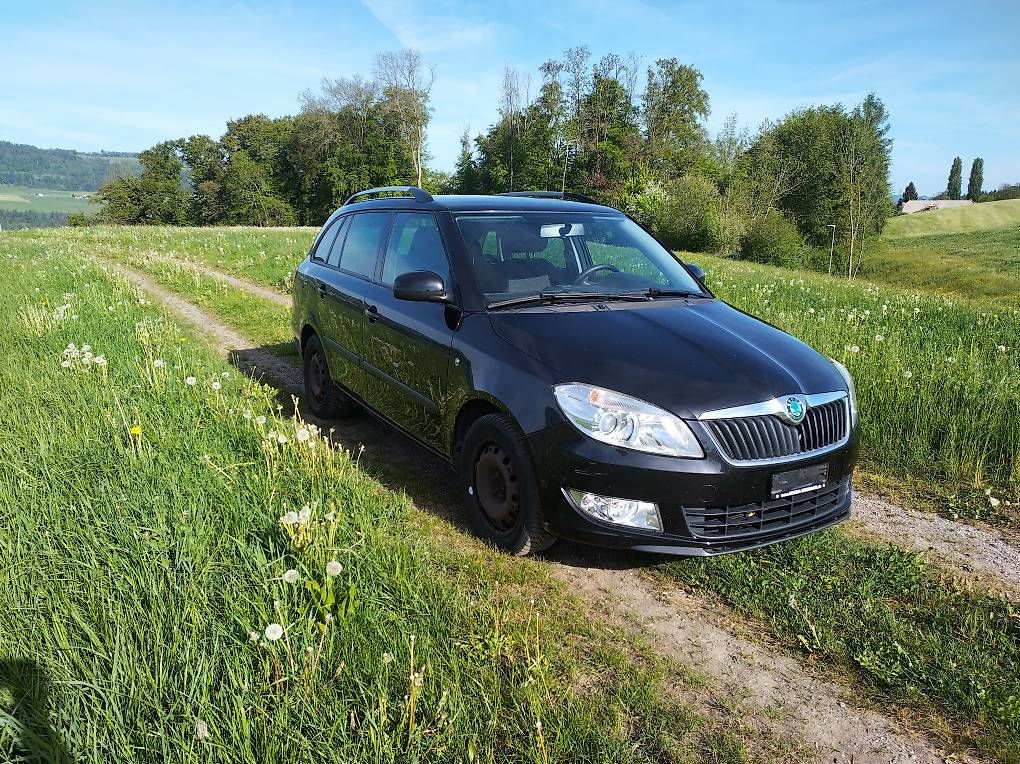 Skoda Automobili: Skoda Fabia 1,2 TSI – Usato da Wichtrach venduto da Gfeui87 4