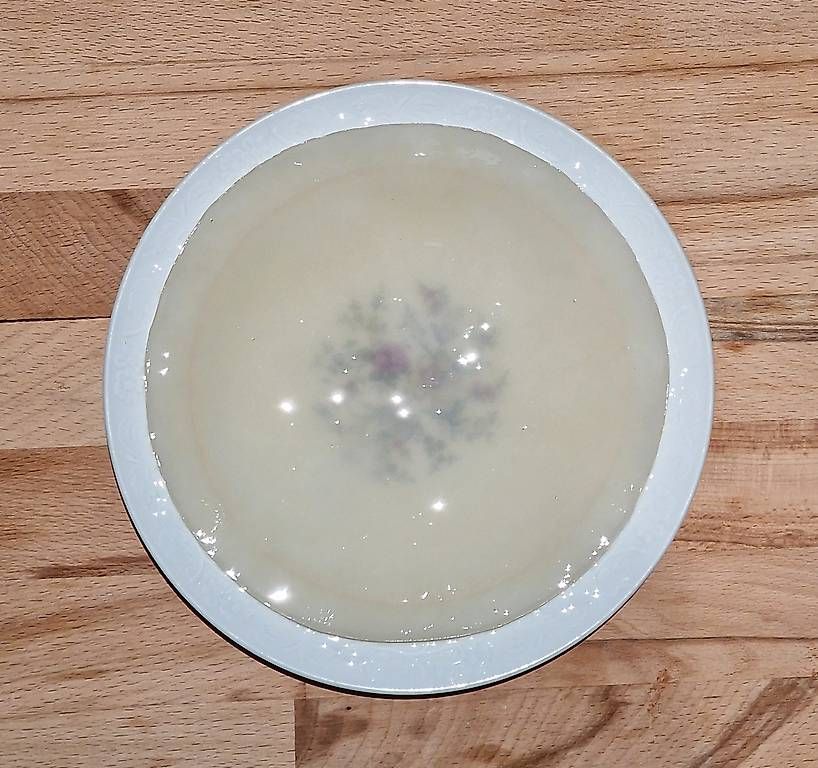 Cibi & Specialità: Riesig Kombucha SCOBY (Grüntee) – Usato da Zürich venduto da sdsp 3