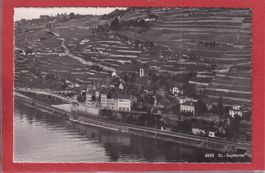 St.-Saphorin - Vue depuis le lac - 1953