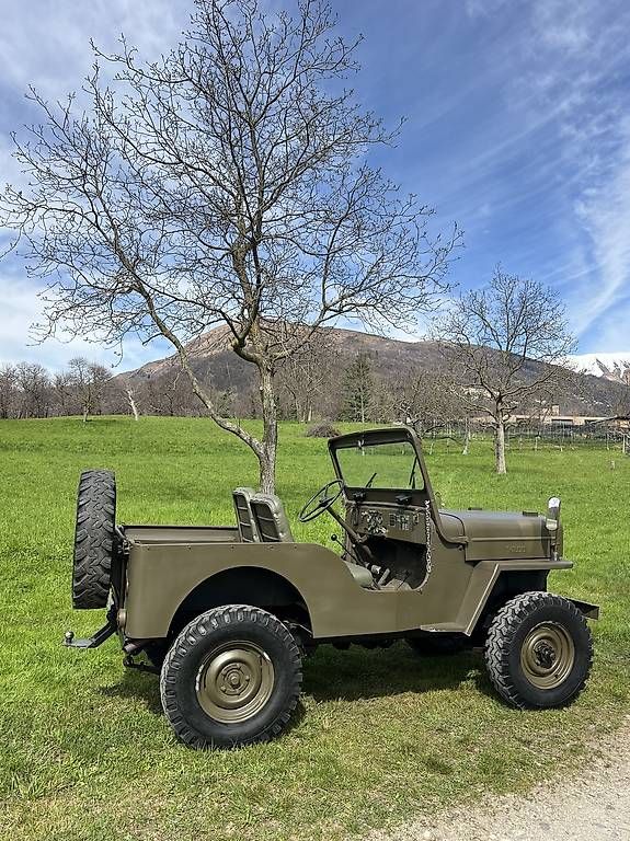 Jeep Autos: Scambio Jeep Willys CJ3B 1953 - 6V – Gebraucht aus Lugaggia von ego_872v 1
