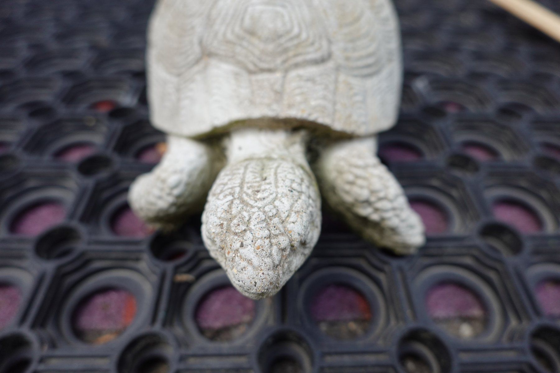 Statuette: Gartendeko: Steingussfigur Schildkröte, winterhart – Nuovo (secondo la descrizione) da Jona venduto da simongarden 2